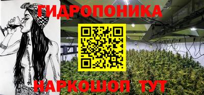 гидра Мариинск
