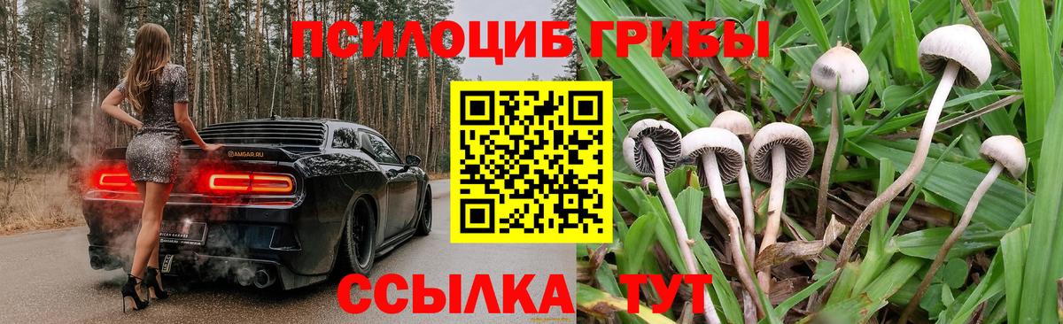 Галлюциногенные грибы MAGIC MUSHROOMS  Галлюциногенные грибы Magic Shrooms  Егорьевск  Вход с VPN 